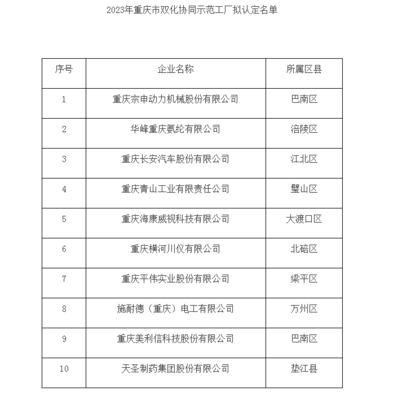 喜报！巴南两家企业成功入选2023年重庆市双化协同示范工厂